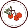 Логотип телеграм канала @rowanberry_jam — Рябиновое варенье. Всё о ткачестве на дощечках