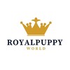 Логотип телеграм канала @royalpuppyworld — ROYALPUPPYWORLD | Той-пудель | Toy poodle puppies