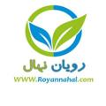 Logo saluran telegram royannahal — رویان نهال