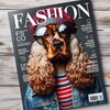 Логотип телеграм канала @roylovedog — Собака в Моде ❤️
