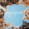 Логотип телеграм канала @rozygryshytgk — БЕСПЛАТНЫЕ РОЗЫГРЫШИ
