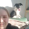 Логотип телеграм канала @rozykorame — Три по четыре 👱🏻‍♀🐕‍🦺🐈
