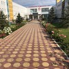 Логотип телеграм канала @rpc_rd — RPC_Omarova
