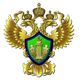 Логотип телеграм канала @rpn_szfo — RPN_SZFO