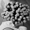 Логотип телеграм канала @rr777ali — günn