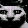 Логотип телеграм канала @rrrraaaawwwwwrrrrrr — Переходник