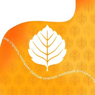 Логотип телеграм канала @rsm_official_tg — РСМ | Российский Союз Молодежи