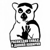 Логотип телеграм канала @rspzd1 — Распиздяй squad
