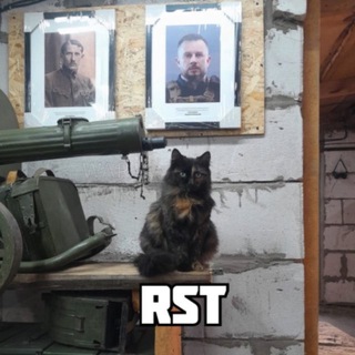 Telegram channel RST logo