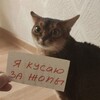 Логотип телеграм канала @rualann_art — Почеркушки RuaLann | Art