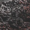 Логотип телеграм канала @ruarms — RuArm