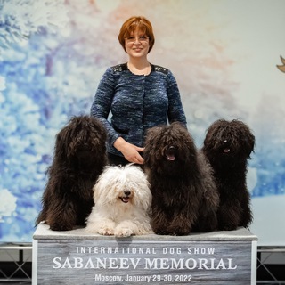 Логотип телеграм канала @rublevkarasta — Rublevka Rasta Puli Kennel