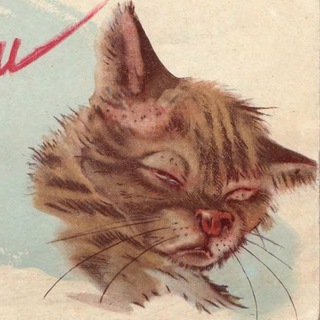 Логотип телеграм канала @rubthefurthewrongway — Против шерсти