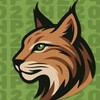 Логотип телеграм канала @ruchamp_intgames — ЧР по интеллектуальным играм