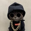 Логотип телеграм канала @rudolfer — Кошачье Логово