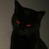 Логотип телеграм канала @rudylost — Отчет о потерях