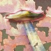 Логотип телеграм канала @ruffmob666 — *ruffmob АНОНС СКОРО