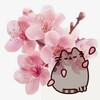 Telegram channel 🌸🫧🪷Ruins aura🪷🫧🪽 logo
