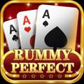 Logo saluran telegram rummyperfect0003 — Rummy Perfect tech— 1001