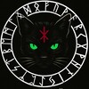 Логотип телеграм канала @runarcat — ᛉ Рунический Кот ᛉ