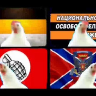 Логотип телеграм канала @rus_number_one — Типичный Россиянин