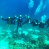 Логотип телеграм канала @rus_extrim — Diveclub Rus-extrim
