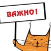 Логотип телеграм канала @rus_news_on — Главные Новости