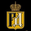 Логотип телеграм канала @rusdozor_ru — ИО Русский дозор