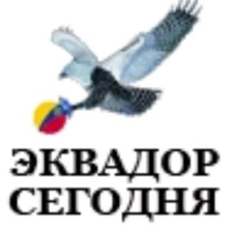 Telegram channel Ribbek news agency | Z logo