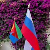 Логотип телеграм канала @rusembasmara — Russian Embassy in Asmara
