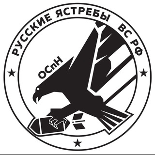 Логотип телеграм канала @ruskie_yastrebi — ОСпН РУССКИЕ ЯСТРЕБЫ ВС РФ