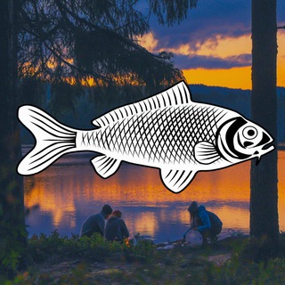 Логотип телеграм канала @rusladyfisher — Девушки тоже рыбачат