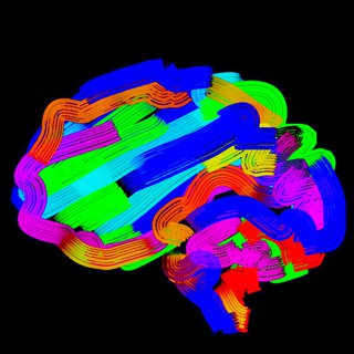 Логотип телеграм канала @rusneurocenter — Neurology, Neuroradiology, Neurosonology & Neurophysiology