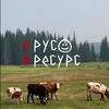 Логотип телеграм канала @rusresur — русресурс