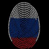Logo of telegram channel russian_scholarship_help — Pathway4Russia 🇷🇺