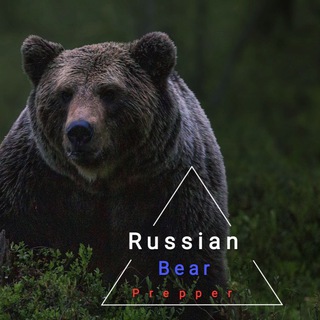 Логотип телеграм канала @russiansurvivalist — Час X ВЫЖИВАНИЕ