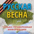 Logo saluran telegram russves — Русская Z Весна: 105-й полк НМ ДНР