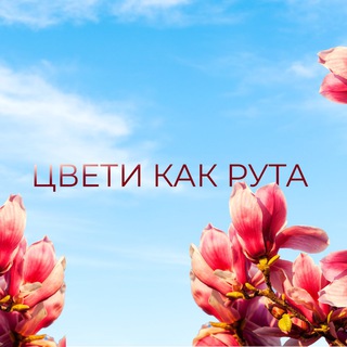 Логотип телеграм канала @rutasochi — В Сочи на три ночи 🏖