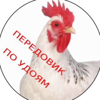 Логотип телеграм канала @rvmorozov — 🕊MR_неспокойный_юрист💼