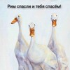 Логотип телеграм канала @ryabchikko — Хорошее настроение