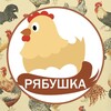 Логотип телеграм канала @ryabushka_kury — РЯБУШКА Куры Несушки