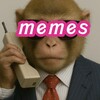 Telegram channel DGSR MEMES 💯 logo