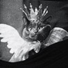 Логотип телеграм канала @ryazanovairinaa — Ryazanova и её BANDA