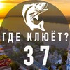 Логотип телеграм канала @ryb37 — Где клюёт? Иваново и область