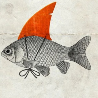 Логотип телеграм канала @rybakrybakaa — РЫБАЛКА | Территория 🎣 Рыбалки