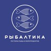 Логотип телеграм канала @rybaltika — Рыбалтика ~ Самара