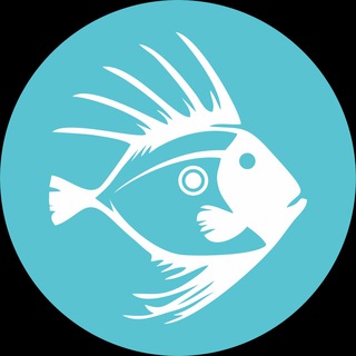 Логотип телеграм канала @rybnyeresheniyanews — Рыбные Решения
