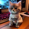 Логотип телеграм канала @ryzebs — Хата Райза