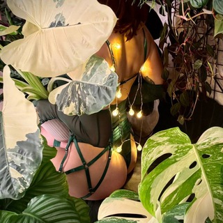 Логотип телеграм канала @s_lampa — Ламповые жители🌿💡