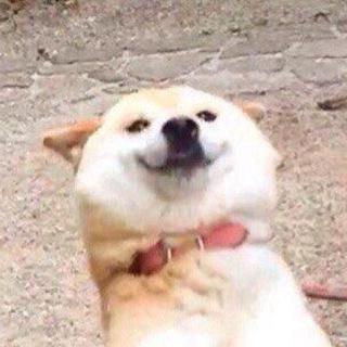 Логотип телеграм канала @s0spam — senk0n spam